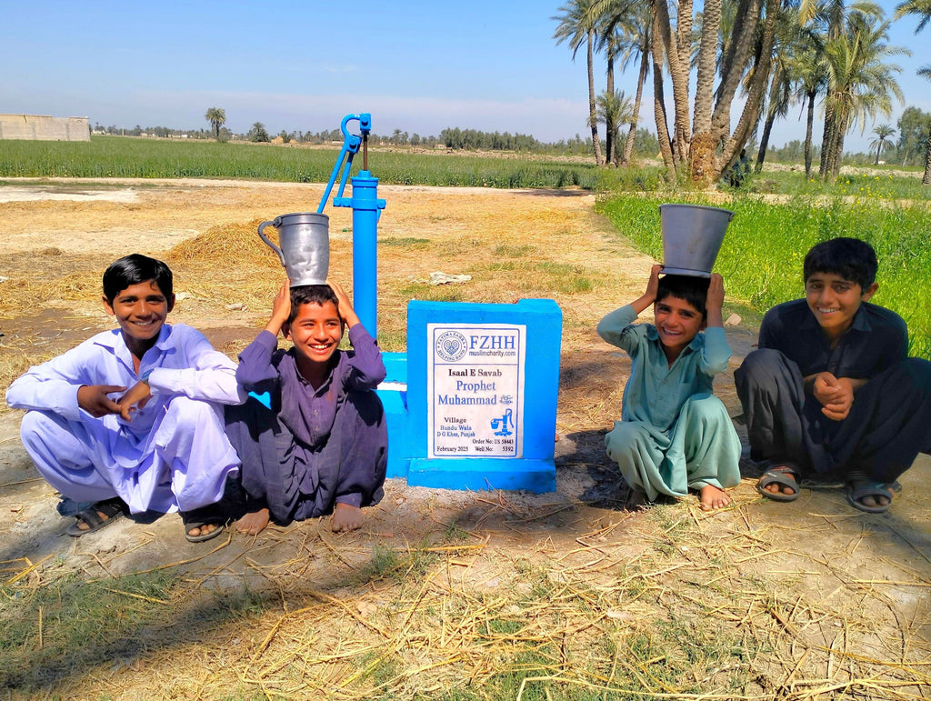 Punjab, Pakistan – Prophet Muhammad ﷺ – US Order no. 58443 - Well no. 5392