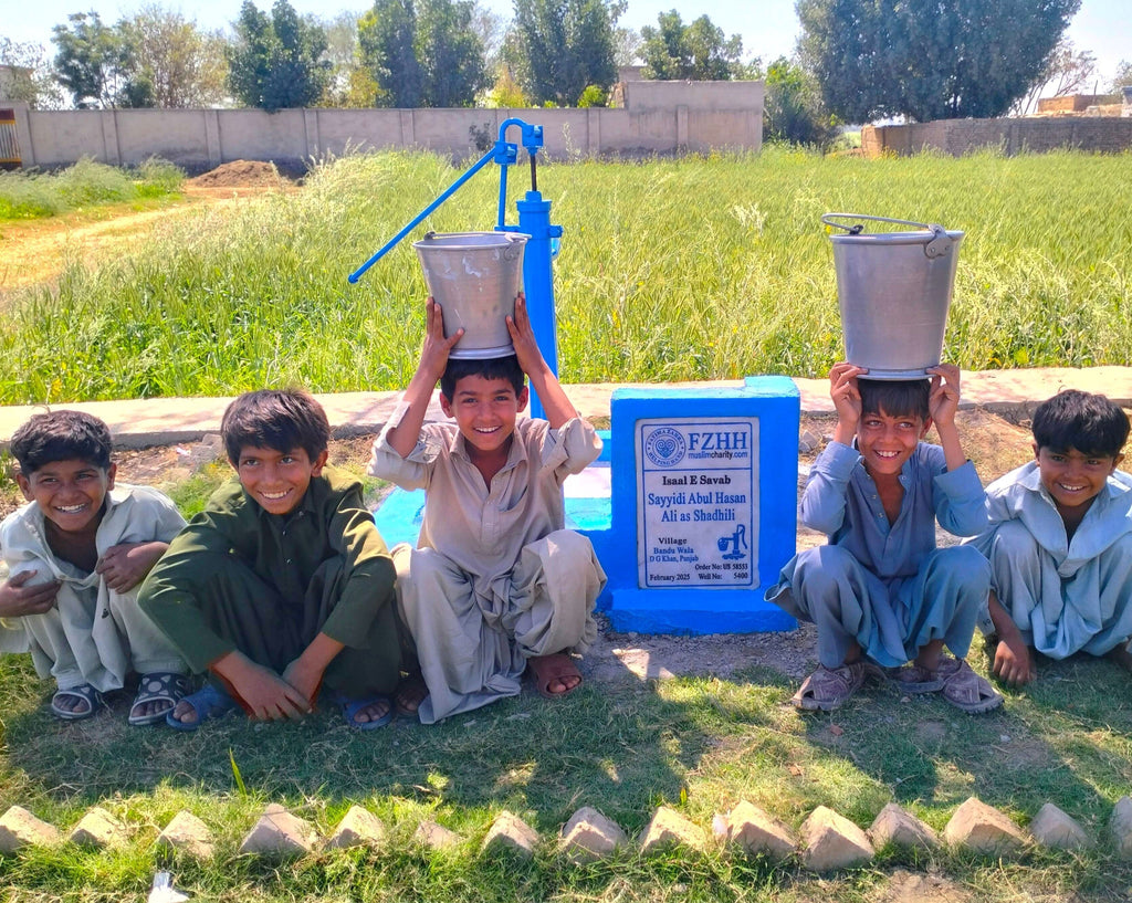 Punjab, Pakistan – Sayyidi Abul Hasan Ali as Shadhili – US Order no. 58553 - Well no. 5400