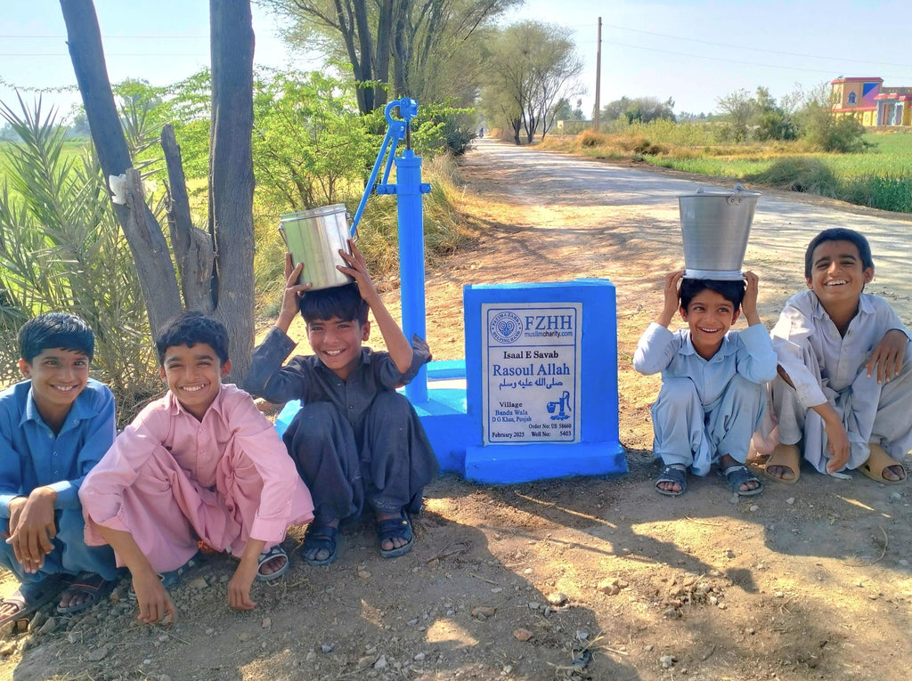 Punjab, Pakistan – Rasoul Allah صلى الله عليه وسلم – US Order no. 58660 - Well no. 5403