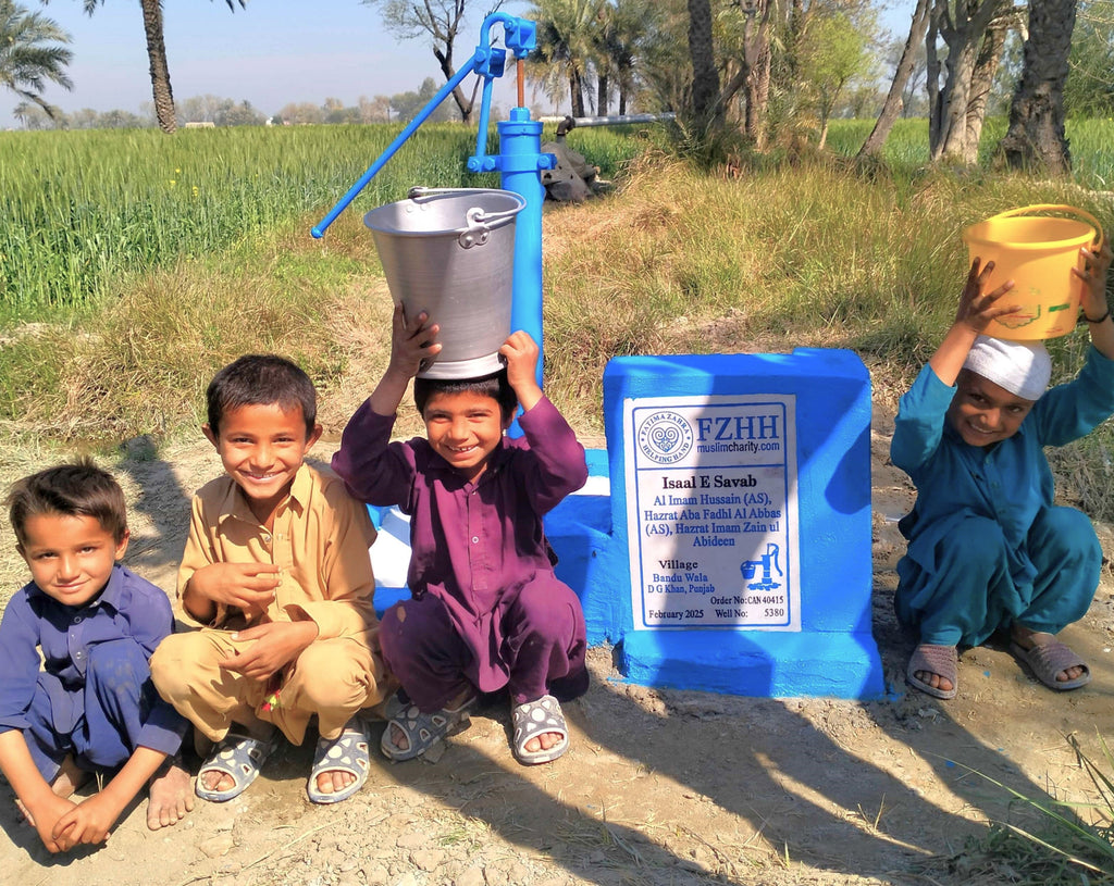 Punjab, Pakistan – Al Imam Hussain (AS), Hazrat Aba Fadhl Al Abbas (AS), Hazrat Imam Zain ul Abideen – CA Order no. 40415 - Well no. 5380