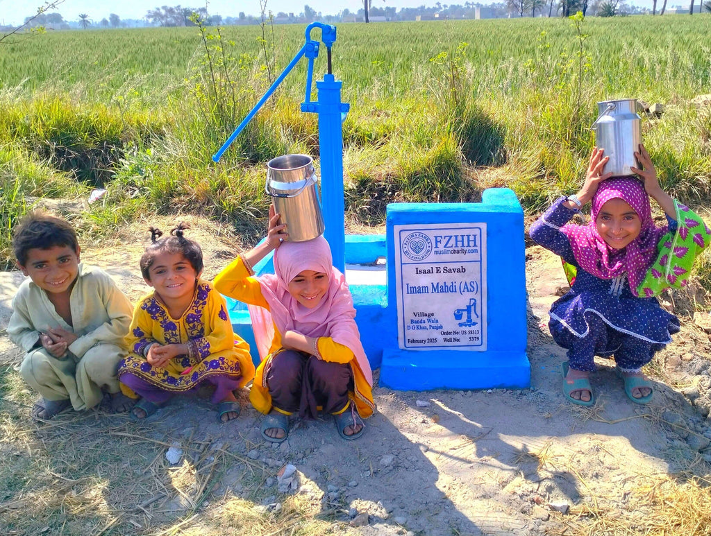 Punjab, Pakistan – Imam Mahdi (AS) – US Order no. 58313 - Well no. 5379