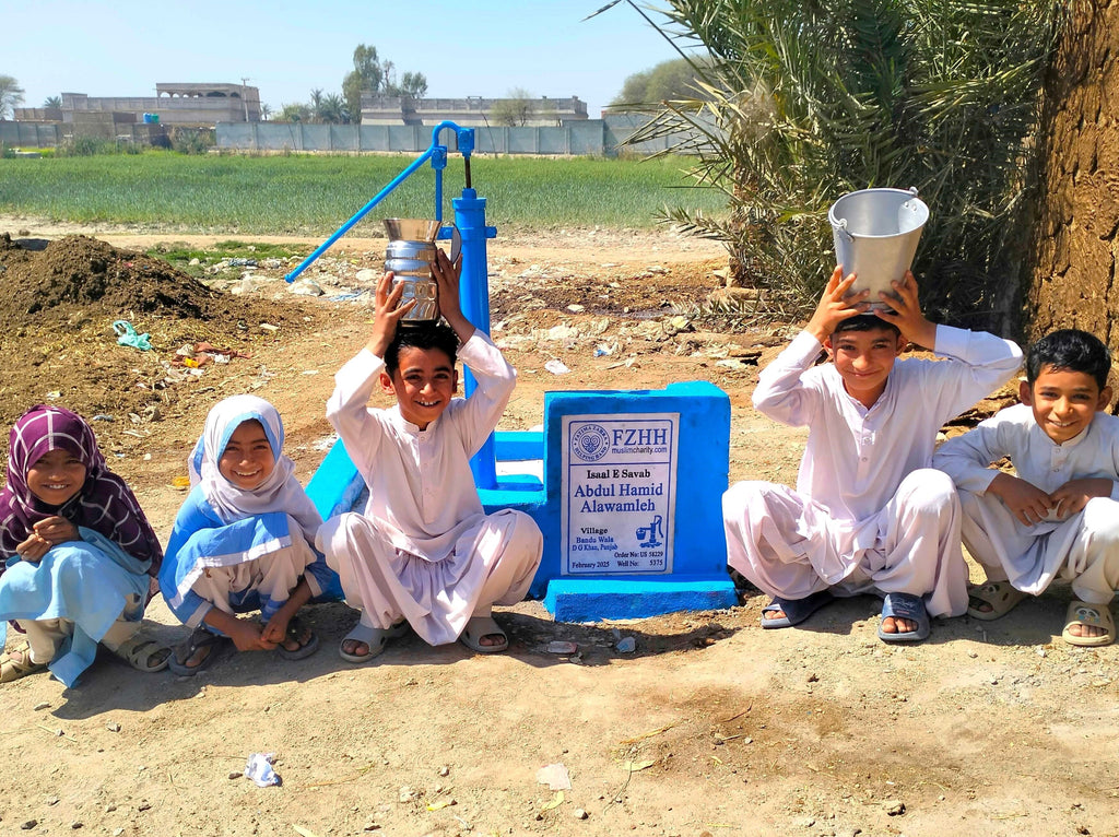 Punjab, Pakistan – Abdul Hamid Alawamleh – US Order no. 58229 - Well no. 5375