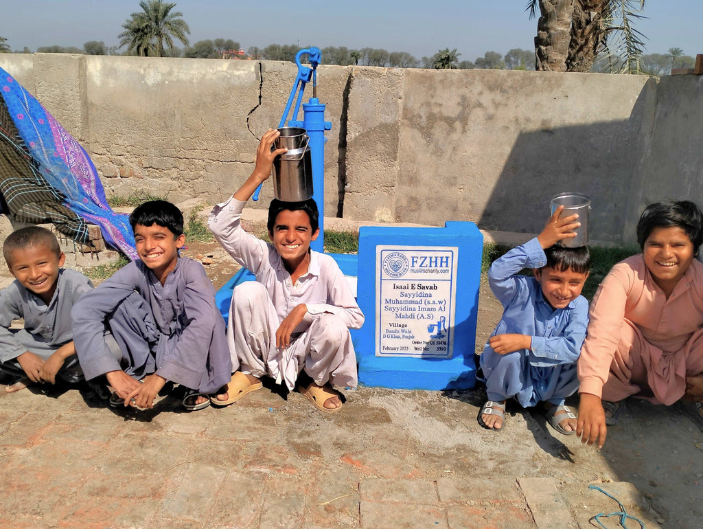 Punjab, Pakistan – Sayyidina Muhammad (s.a.w) Sayyidina Imam Al Mahdi (A.S) – US Order no. 58476 - Well no. 5393