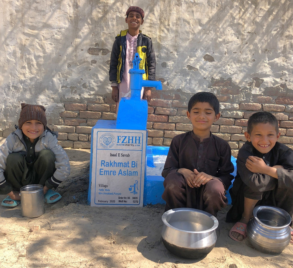 Punjab, Pakistan – Rakhmat Bi Emre Aslam – US Order no. 56824 - Well no. 5272