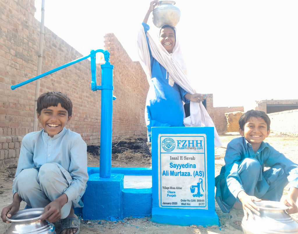 Punjab, Pakistan – Sayyedina Ali Murtaza (AS) – CA Order no. 38846 - Well no. 5177