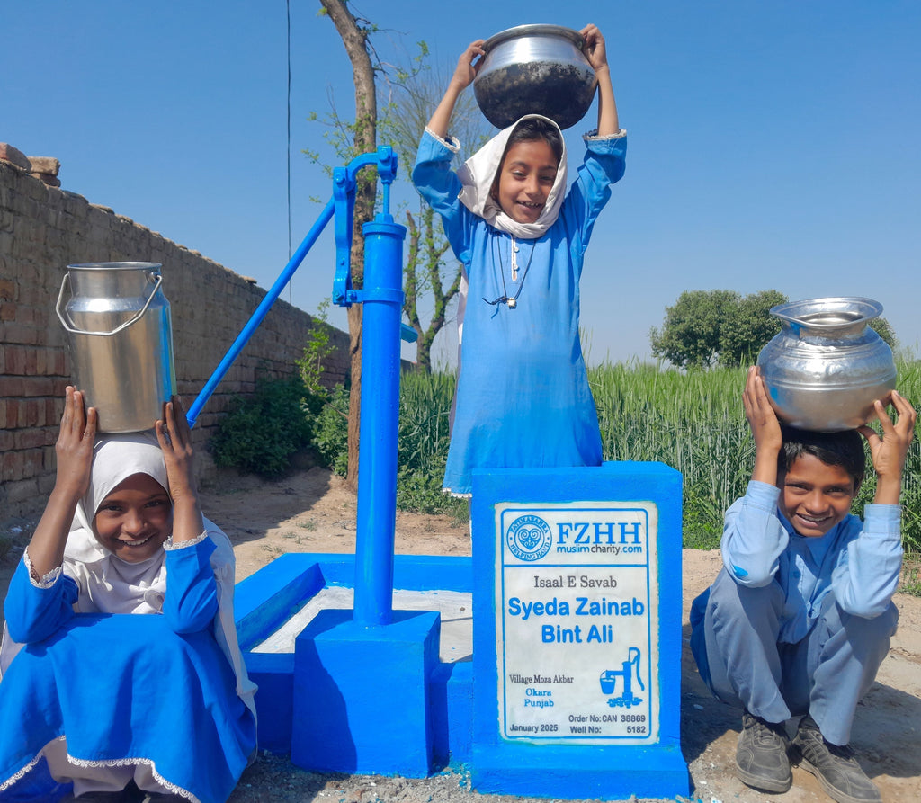 Punjab, Pakistan – Syeda Zainab Bint Ali – CA Order no. 38869 - Well no. 5182