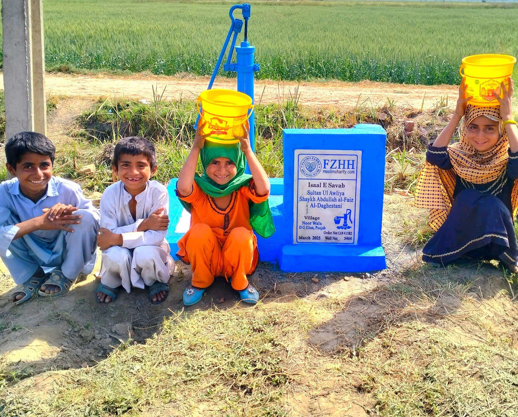 Punjab, Pakistan – Sultan Ul Awliya Shaykh Abdullah al-Faiz Al-Daghestani – CA Order no. 41582 - Well no. 5464