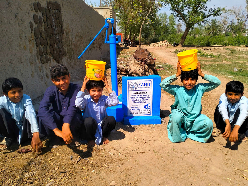 Punjab, Pakistan – Sultan Awliya Shaykh Nazim Adil Haqqani (Q), Abdullah al Faiz ad Daghestani (Q) – US Order no. 60186 - Well no. 5462