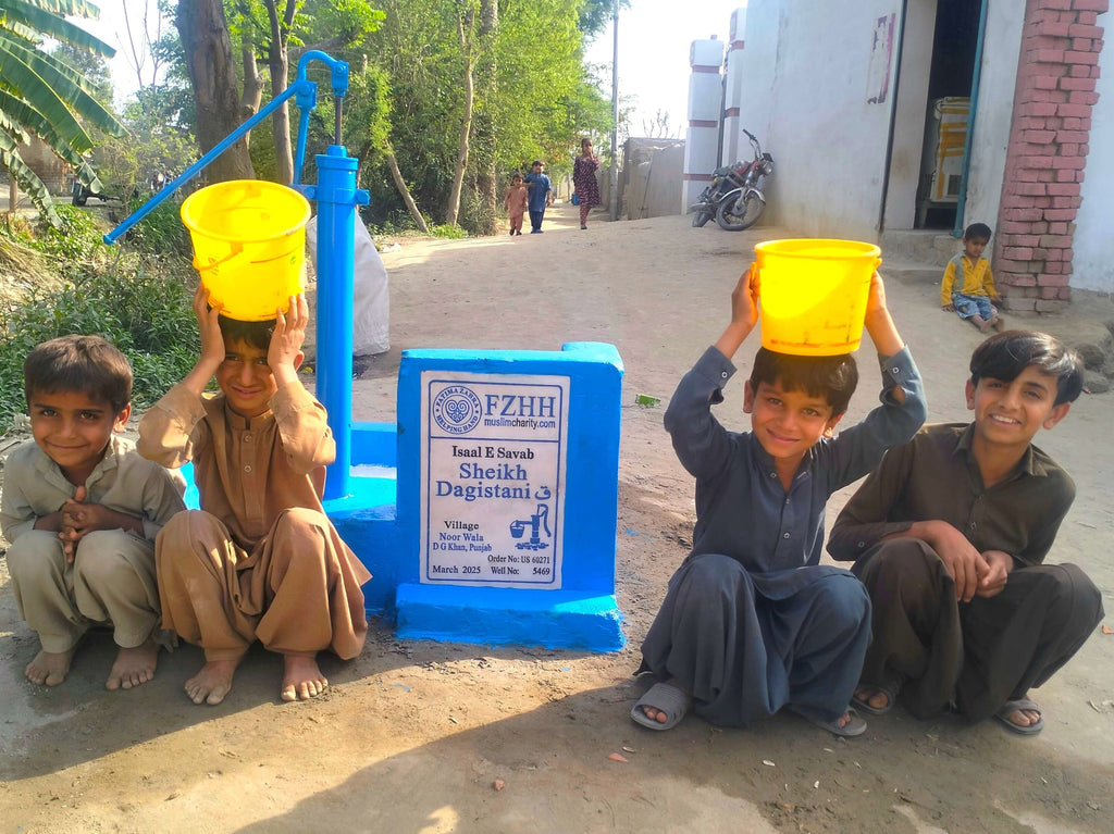 Punjab, Pakistan – Sheikh Dagistani ق – US Order no. 60271 - Well no. 5469