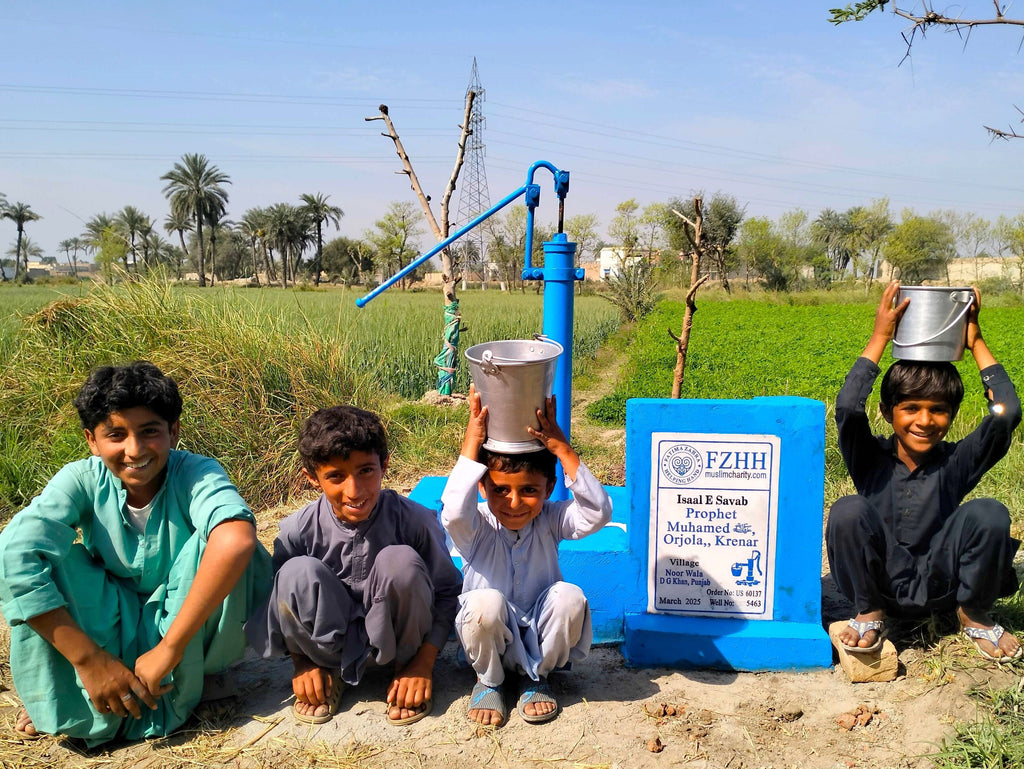 Punjab, Pakistan – Prophet Muhamed ﷺ, Orjola, Krenar – US Order no. 60137 - Well no. 5463