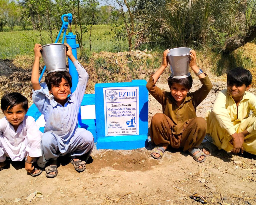 Punjab, Pakistan – Mahmooda Khatoon, Nilofer Zarina, Rawshan Mahmood – US Order no. 60204 - Well no. 5460