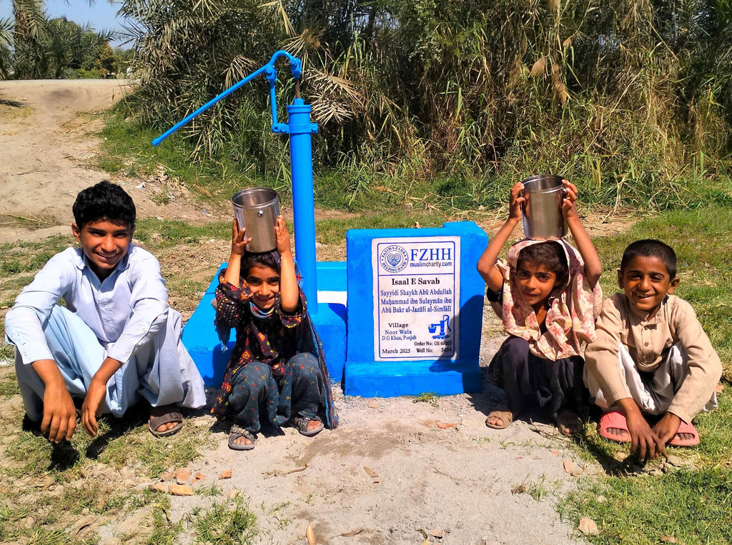 Punjab, Pakistan – Sayyidi Shaykh Abū Abdullah Muḥammad ibn Sulaymān ibn Abū Bakr al-Jazūli al-Simlālī – US Order no. 60067 - Well no. 5454