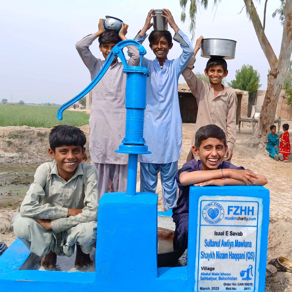Balochistan, Pakistan – Sultanul Awliya Mawlana Shaykh Nizam Haqqani (QS) – US Order no. 59070 - Well no. 5411