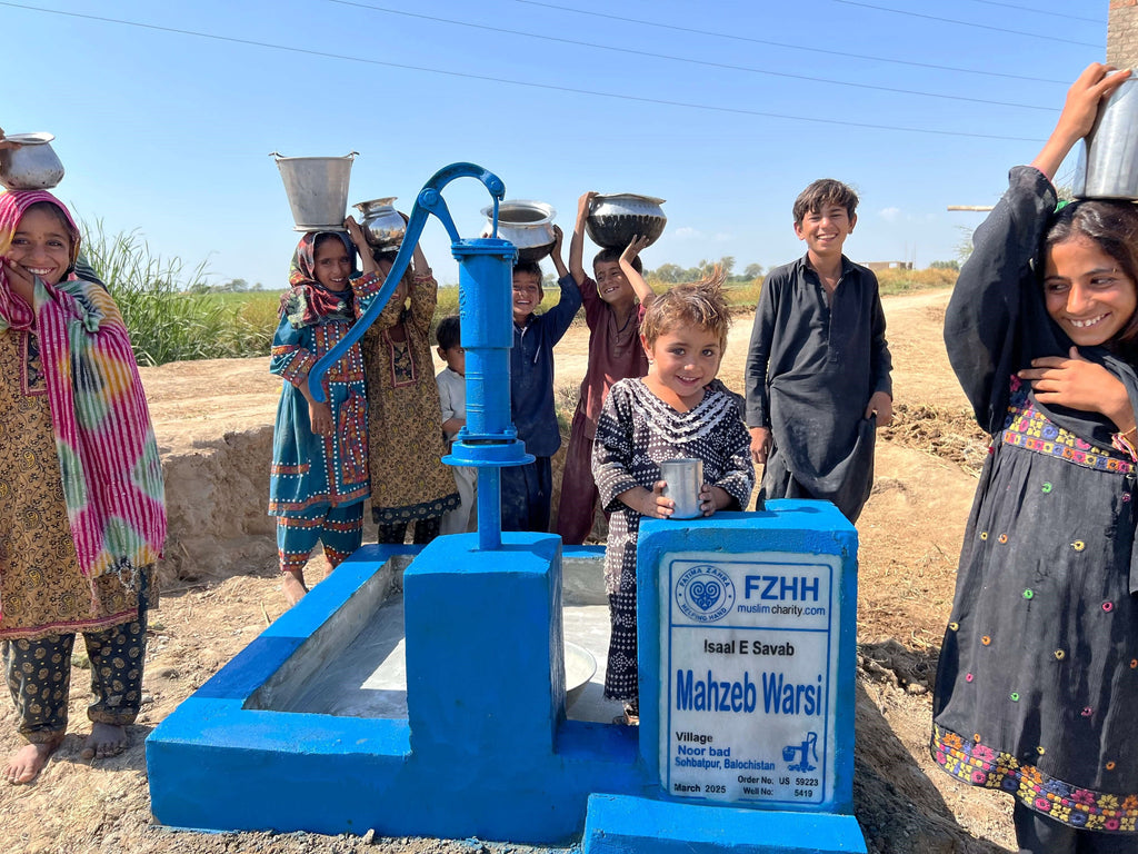 Balochistan, Pakistan – Mahzeb Warsi – US Order no. 59223 - Well no. 5419