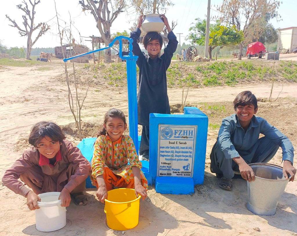 Punjab, Pakistan – Imam Jafar Sadiq (AS), Imam Ali (AS), Imam Hasan (AS), Shaykh Abdullah Faiz Daghestani (Q), Shaykh Nurjan(Q), Naqshbandi golden chain – US Order no. 60604 - Well no. 5496
