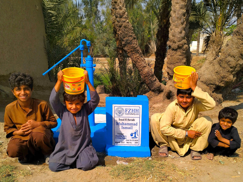 Punjab, Pakistan – Muhammad Ismail – US Order no. 60620 - Well no. 5499