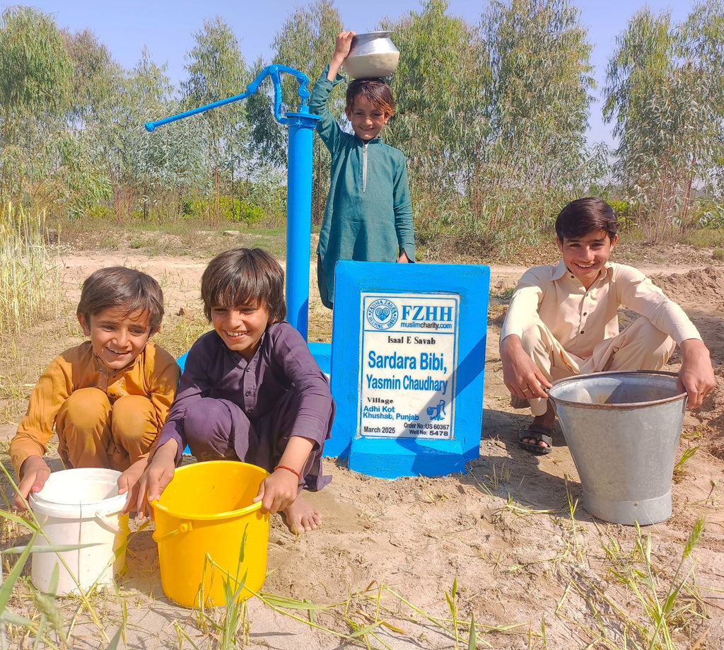 Punjab, Pakistan – Sardara Bibi, Yasmin Chaudhary – US Order no. 60367 - Well no. 5478