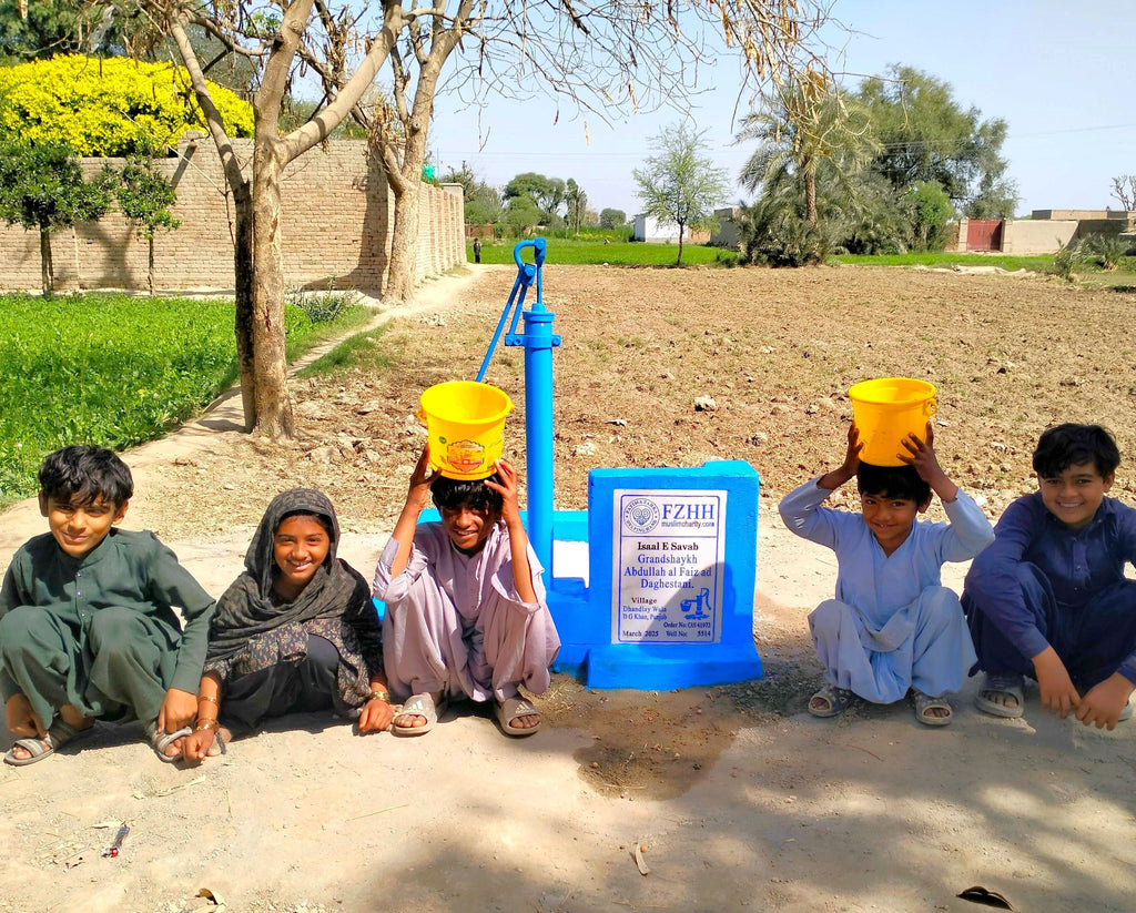 Punjab, Pakistan – Grandshaykh Abdullah al Faiz ad Daghestani – CA Order no. 41972 - Well no. 5514