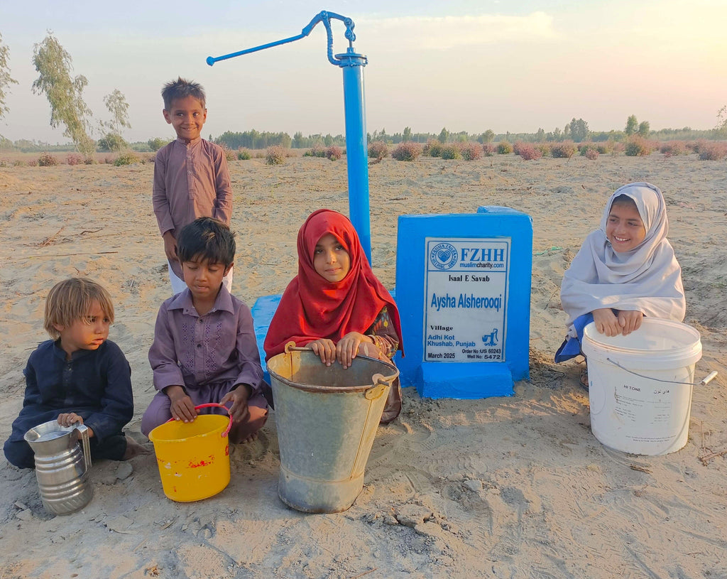 Punjab, Pakistan – Aysha Alsherooqi – US Order no. 60243 - Well no. 5472