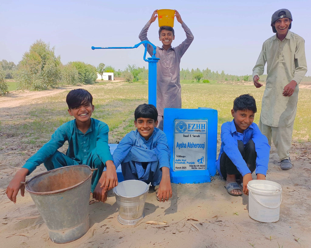 Punjab, Pakistan – Aysha Alsherooqi – US Order no. 60243 - Well no. 5471