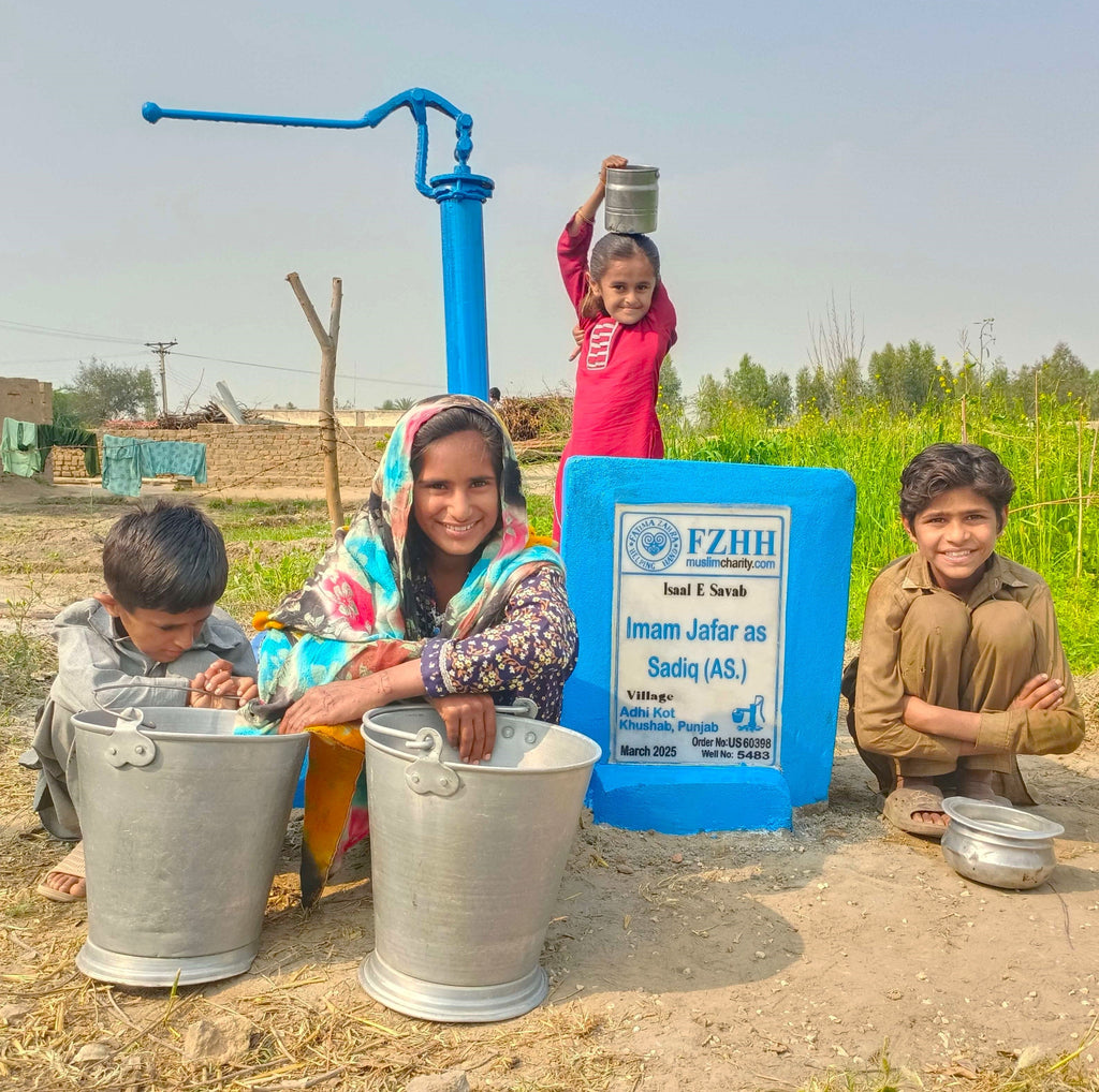 Punjab, Pakistan – Imam Jafar as Sadiq (AS.) – US Order no. 60398 - Well no. 5483