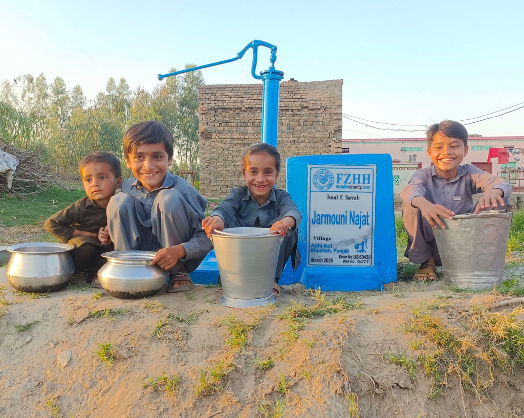 Punjab, Pakistan – Jarmouni Najat – US Order no. 60432 - Well no. 5477
