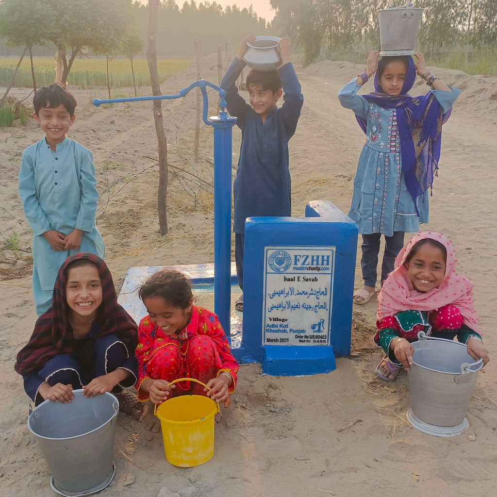 Punjab, Pakistan – الحاج دشر محمد الابراهيمي, .الحاجه رجينه نعيم الابراهيمي – US Order no. 60403 - Well no. 5485