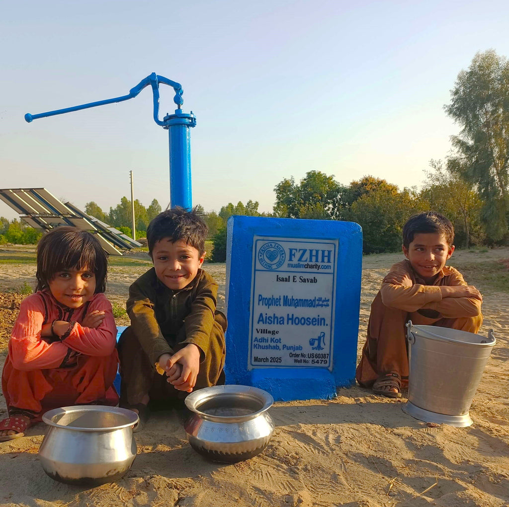 Punjab, Pakistan – Prophet Muhammad ﷺ, Aisha Hoosein – US Order no. 60387 - Well no. 5479