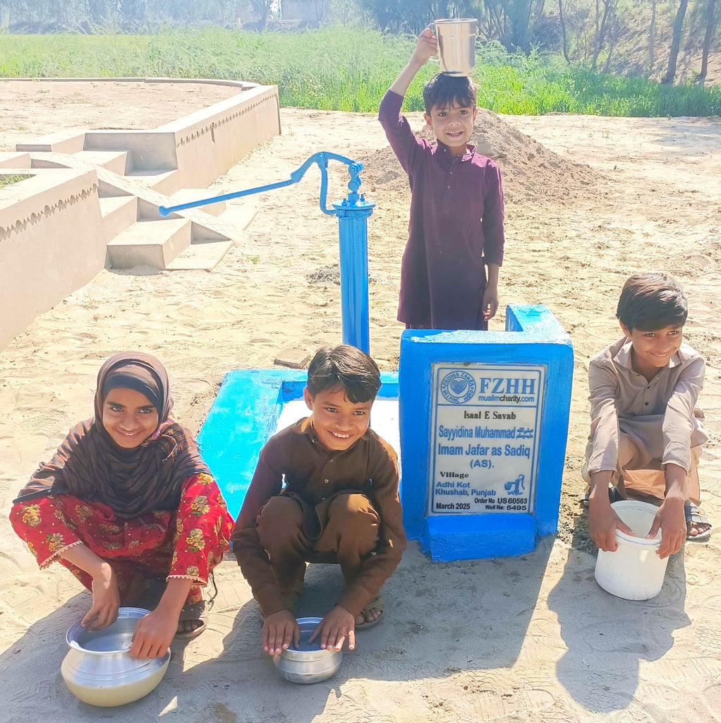 Punjab, Pakistan – Sayyidina Muhammad ﷺ, Imam Jafar as Sadiq (AS) – US Order no. 60563 - Well no. 5495