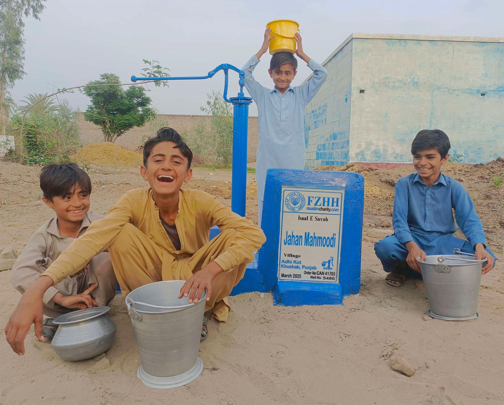 Punjab, Pakistan – Jahan Mahmoodi – CA Order no. 41785 - Well no. 5486