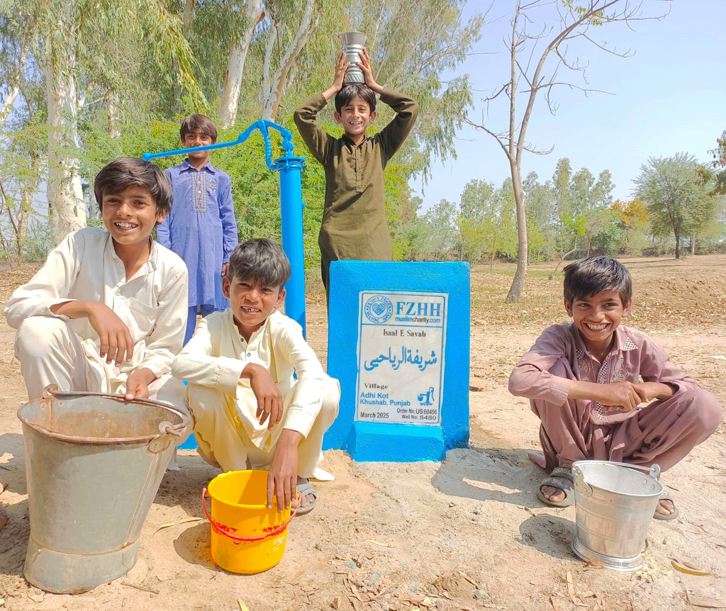 Punjab, Pakistan – شريفة الرياحي – US Order no. 60456 - Well no. 5480