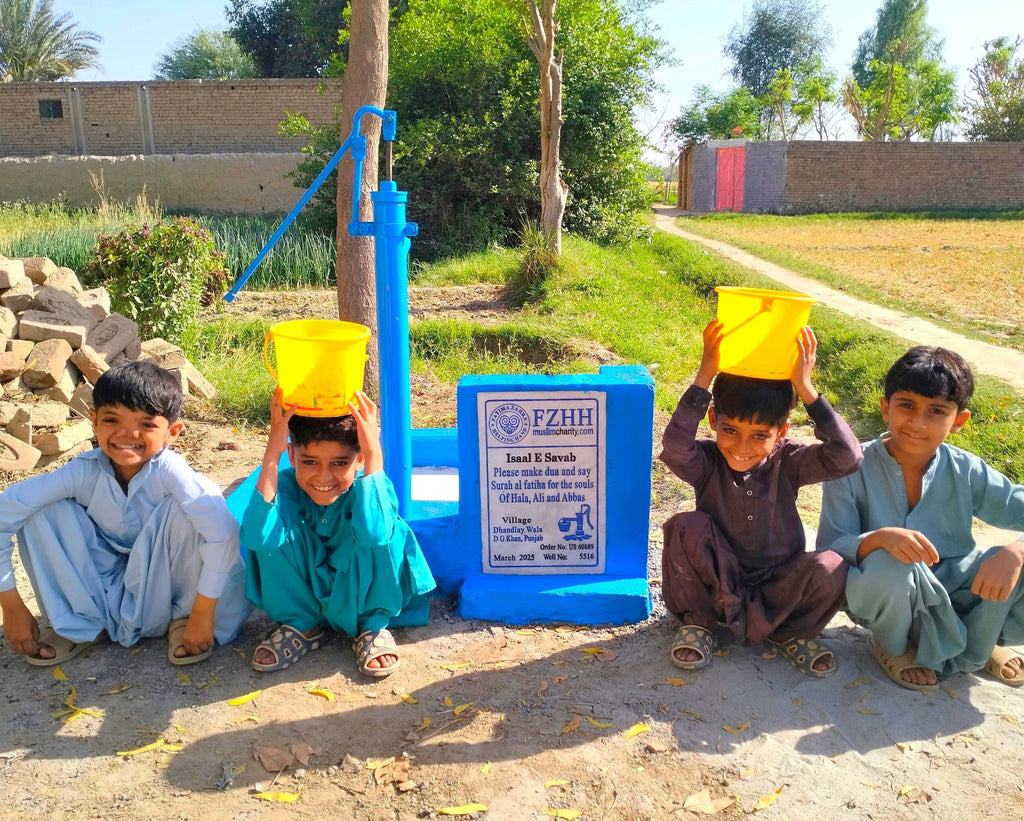 Punjab, Pakistan – Please make dua and say surah al fatiha for the souls of Hala, Ali and Abbas – US Order no. 60889 - Well no. 5516