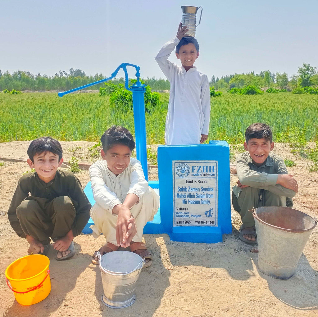 Punjab, Pakistan – Sahib Zaman Syedna Mahdi Alleh Salam from Mir Hassan family – PK Order no. XXXXX - Well no. 5498