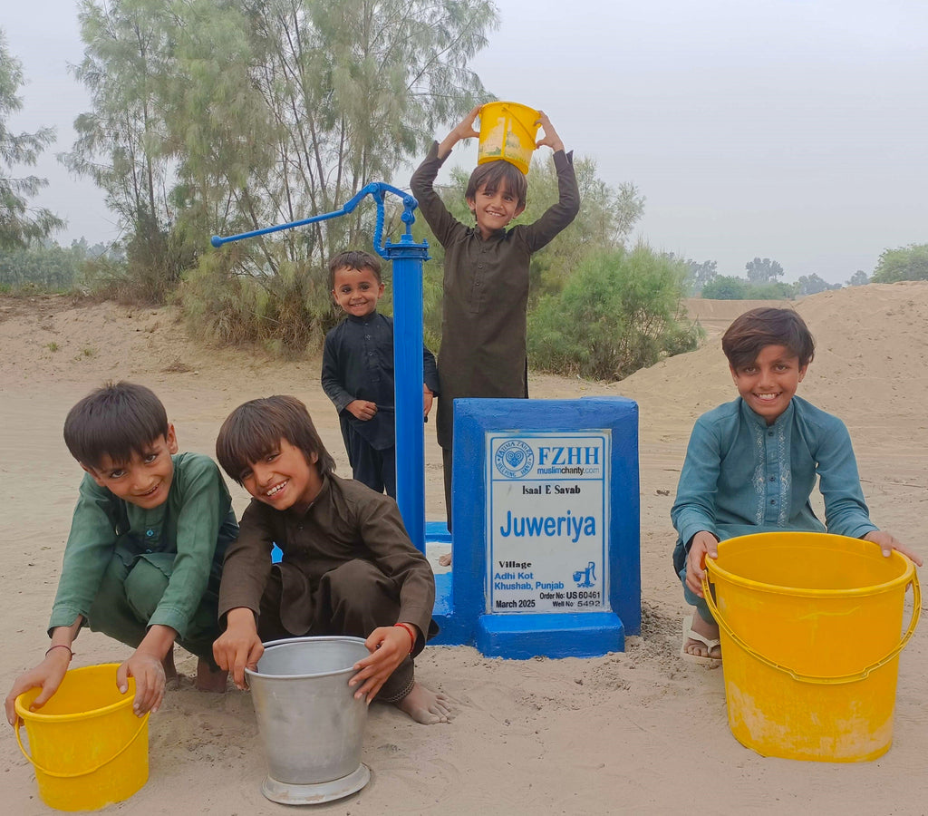 Punjab, Pakistan – Juweriya – US Order no. 60461 - Well no. 5492