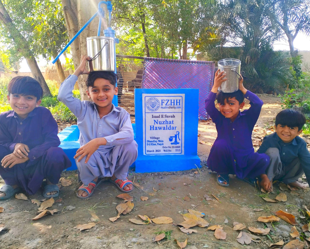 Punjab, Pakistan – Nuzhat Hawaldar – US Order no. 60860 - Well no. 5515