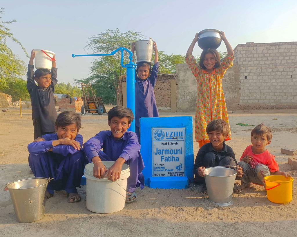 Punjab, Pakistan – Jarmouni Fatiha – US Order no. 60323 - Well no. 5473