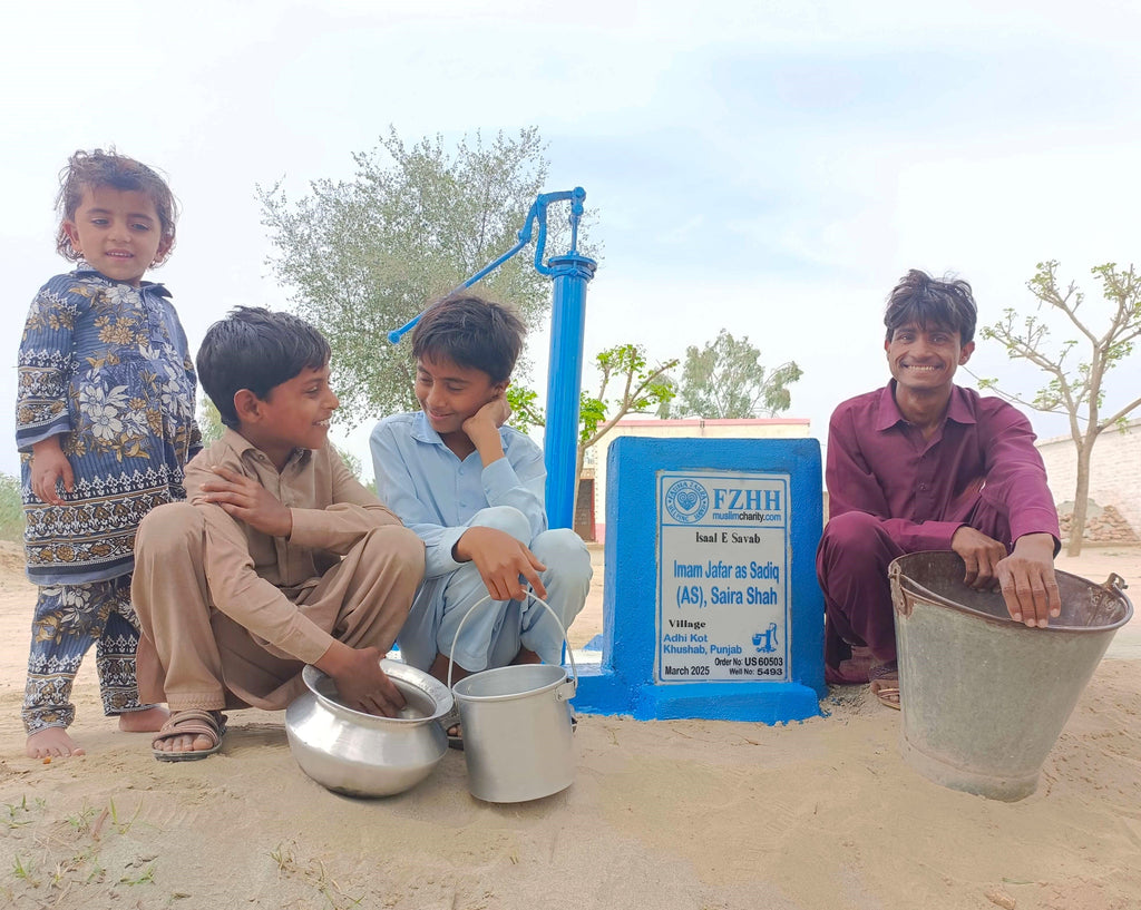 Punjab, Pakistan – Imam Jafar as Sadiq (AS), Saira Shah – US Order no. 60503 - Well no. 5493