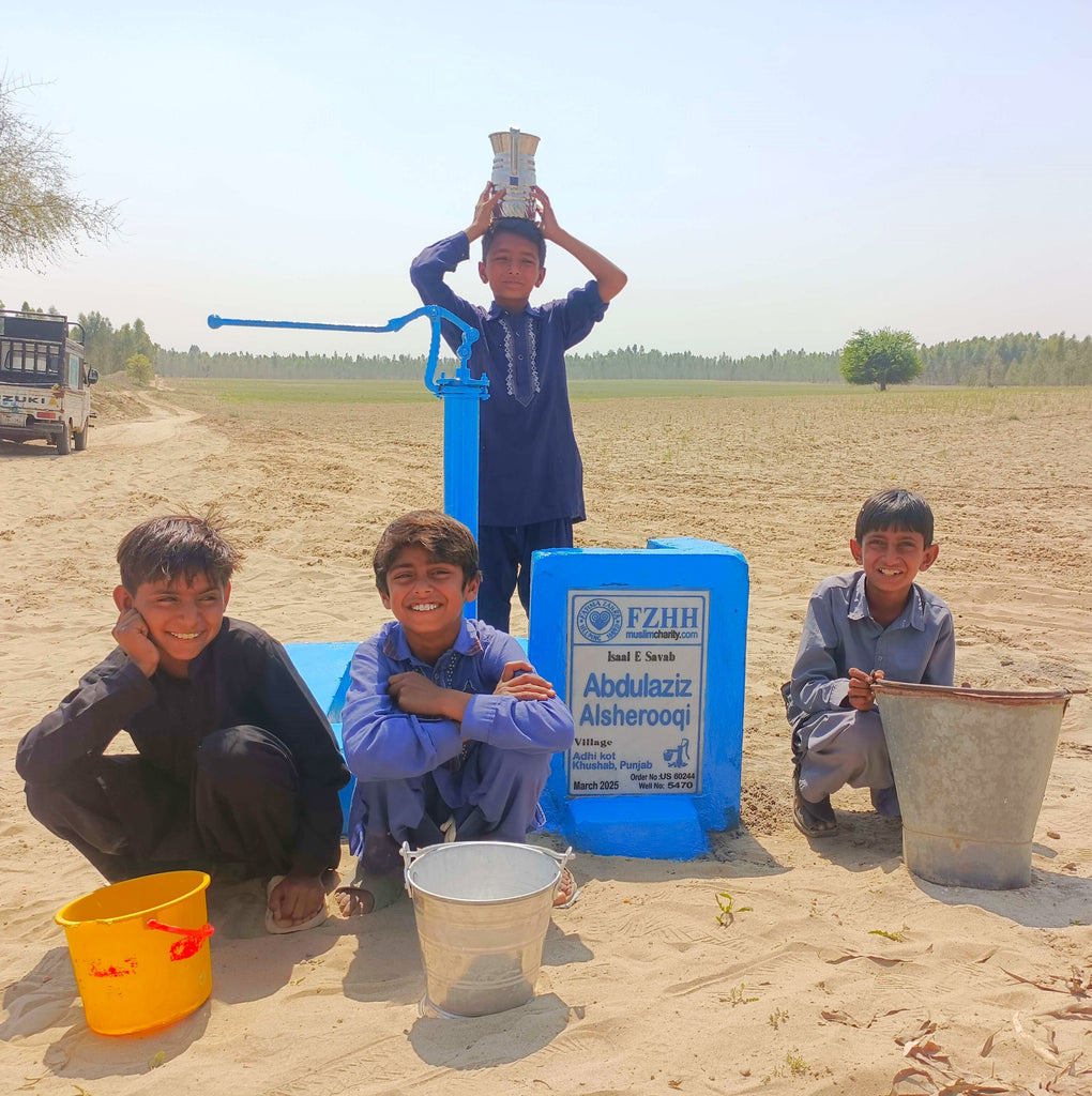 Punjab, Pakistan – Abdulaziz Alsherooqi – US Order no. 60244 - Well no. 5470