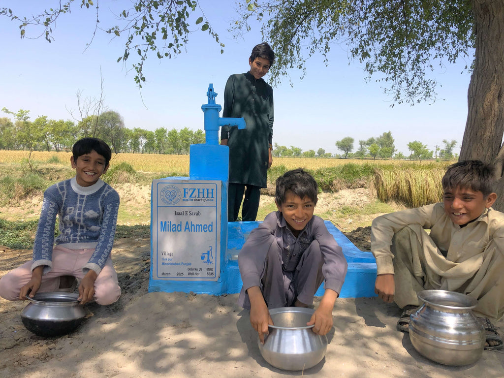 Punjab, Pakistan – Milad Ahmed – US Order no. 61053 - Well no. 5535