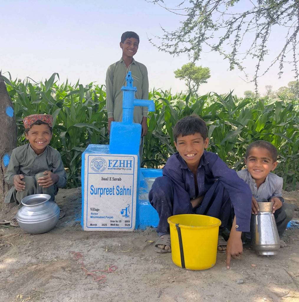 Punjab, Pakistan – Surpreet Sahni – US Order no. 60959 - Well no. 5520