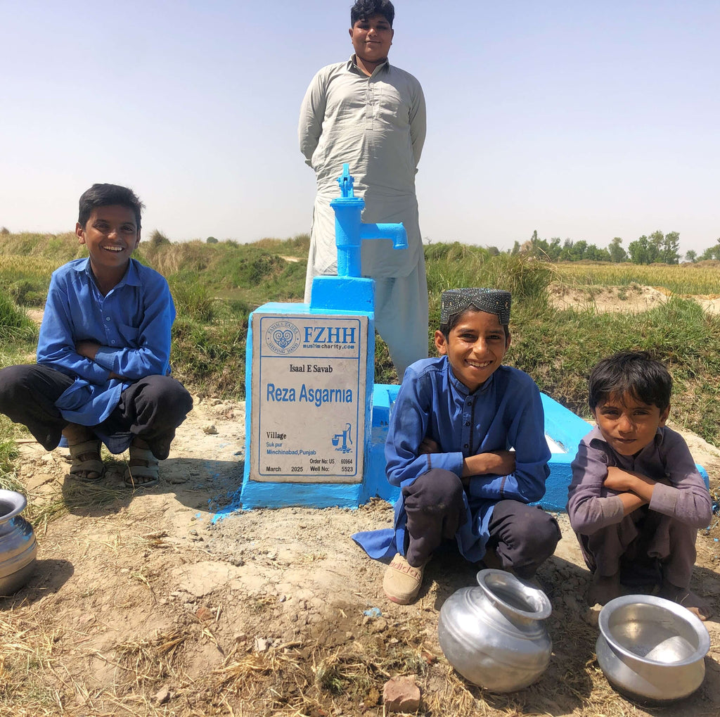 Punjab, Pakistan – Reza Asgarnia – US Order no. 60964 - Well no. 5523