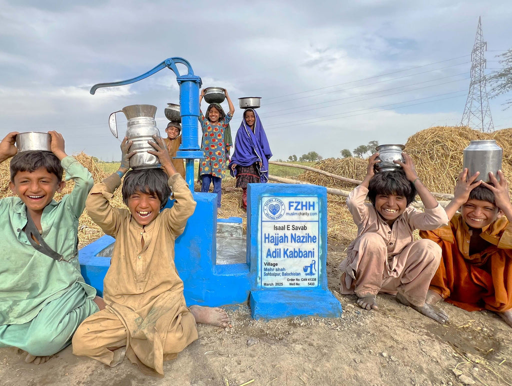 Balochistan, Pakistan – Hajjah Nazihe Adil Kabbani – CA Order no. 41338 - Well no. 5433