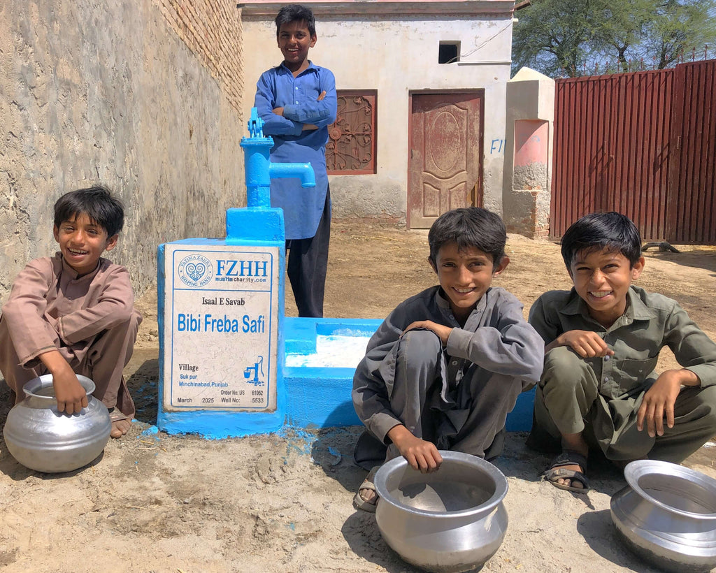 Punjab, Pakistan – Bibi Freba Safi – US Order no. 61052 - Well no. 5533