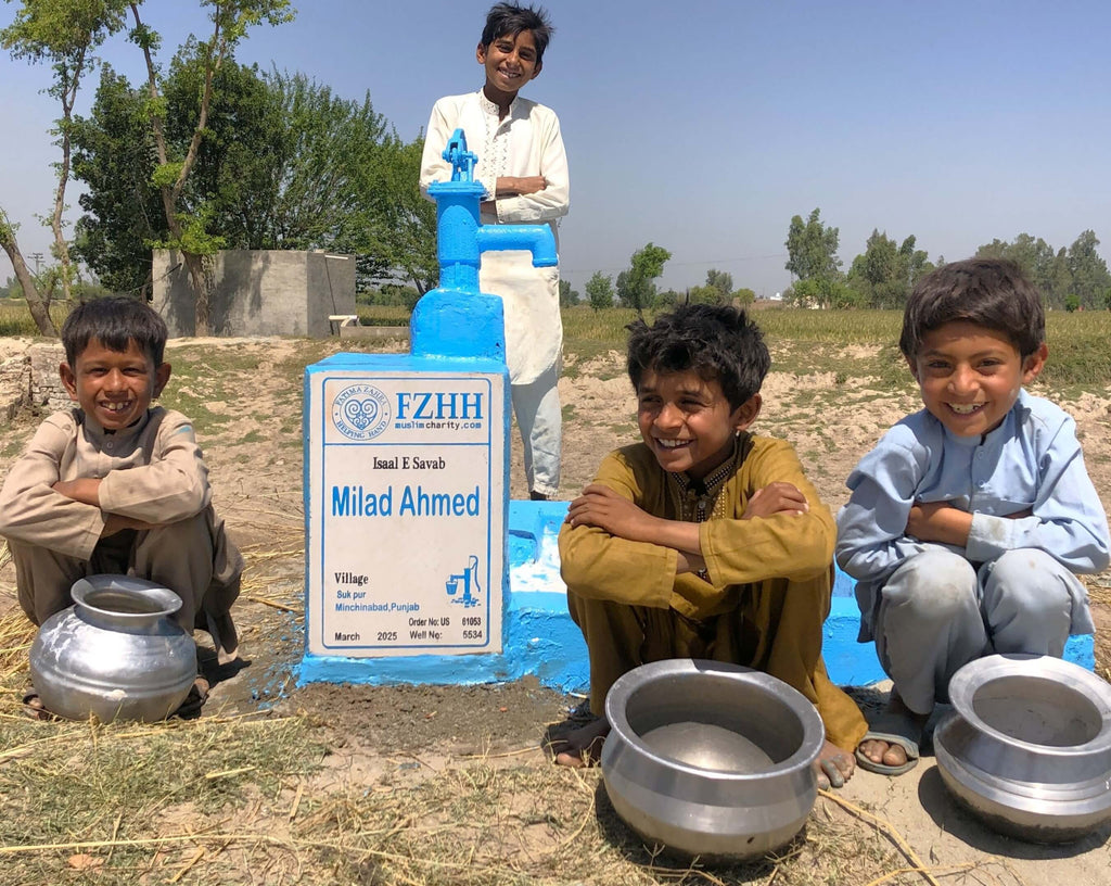 Punjab, Pakistan – Milad Ahmed – US Order no. 61053 - Well no. 5534