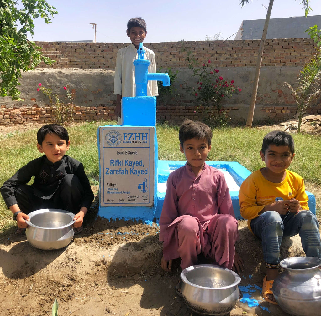 Punjab, Pakistan – Rifki Kayed, Zarefah Kayed – US Order no. 61027 - Well no. 5526