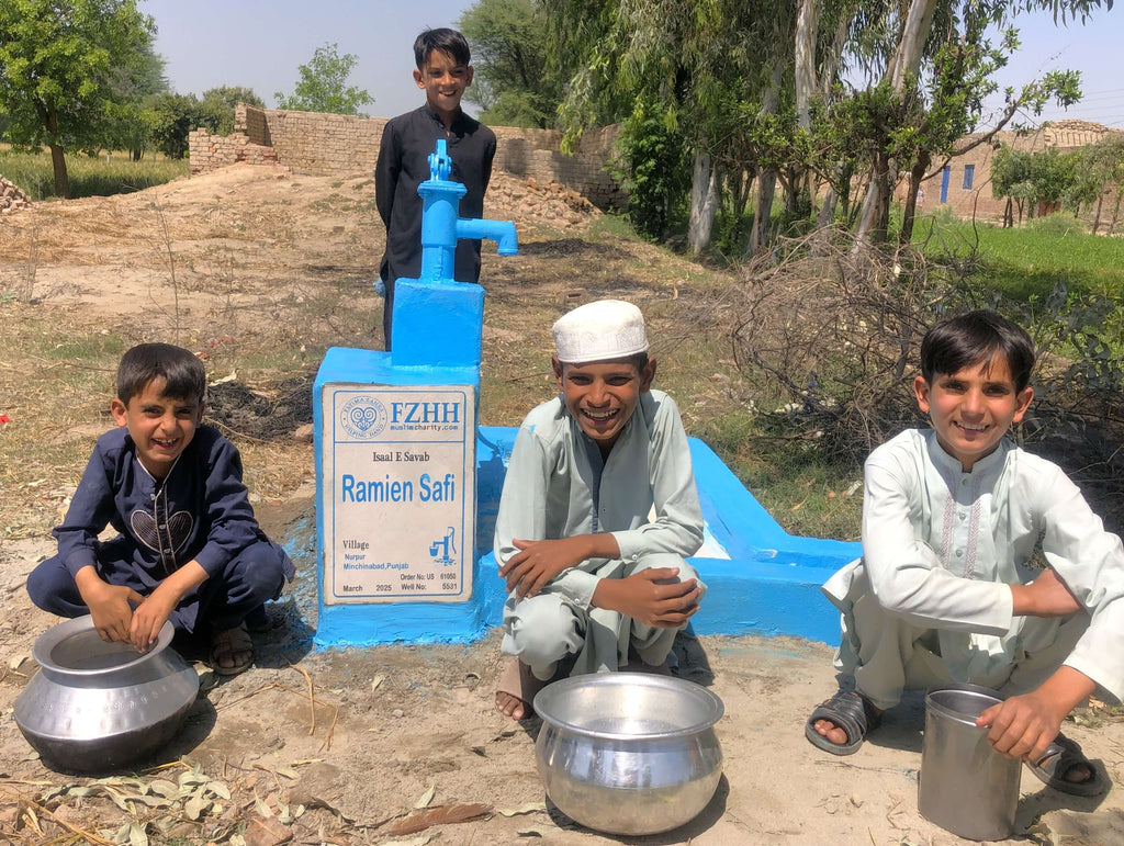 Punjab, Pakistan – Ramien Safi – US Order no. 61050 - Well no. 5531
