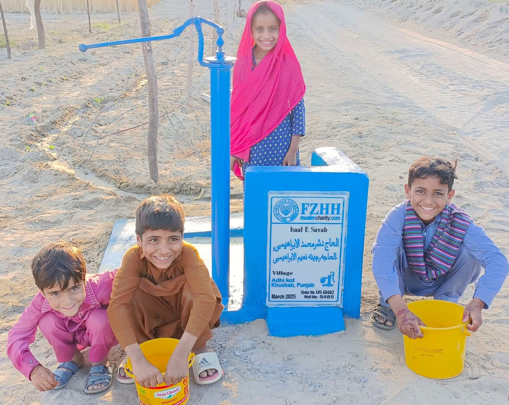 Punjab, Pakistan – الحاج دشر محمد الابراهيمي, .الحاجه رجينه نعيم الابراهيمي - US Order no. 60403 - Well no. 5485