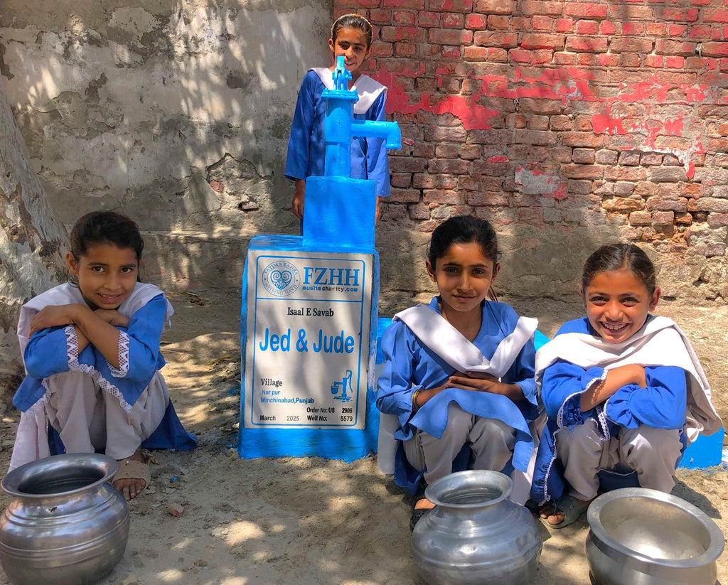 Punjab, Pakistan – Jed & Jude – US Order no. 2906 - Well no. 5579