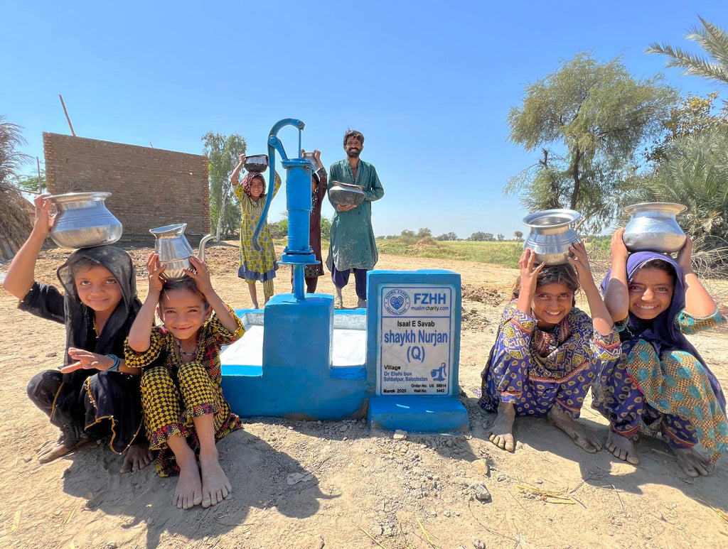 Balochistan, Pakistan – Shaykh Nurjan (Q) - US Order no. 59914 - Well no. 5442