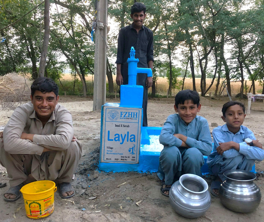 Punjab, Pakistan – Layla – US Order no. 2906 - Well no. 5580